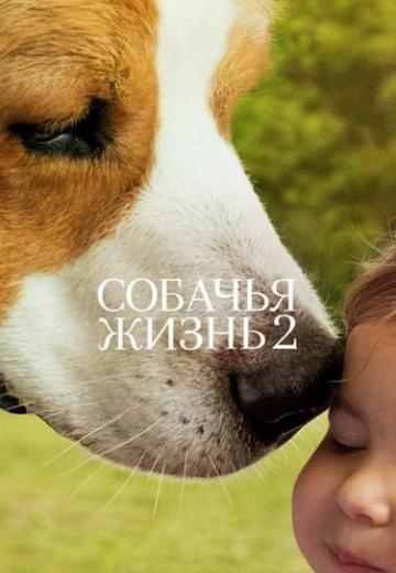 Собачья жизнь 2 (2019) Смотреть онлайн, бесплатно, в хорошем качестве.